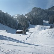 Schlitteln2010 (112).JPG