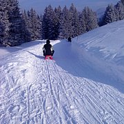 Schlitteln2010 (126).JPG