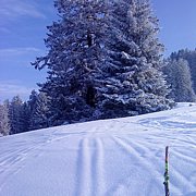 Schlitteln2010 (127).JPG