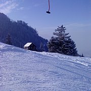 Schlitteln2010 (130).JPG