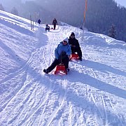 Schlitteln2010 (134).JPG