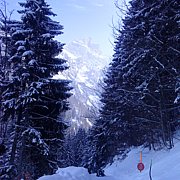Schlitteln2010 (141).JPG