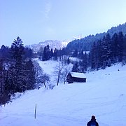 Schlitteln2010 (163).JPG