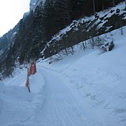 Schlitteln2010 (165).JPG