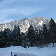Schlitteln2010 (167).JPG
