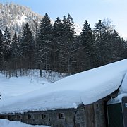 Schlitteln2010 (168).JPG