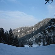 Schlitteln2010 (169).JPG