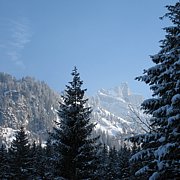 Schlitteln2010 (173).JPG