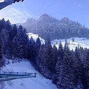 schlitteln2010 (024).jpg