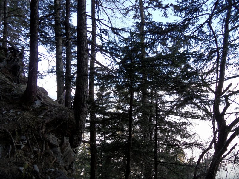 SAM_0377.JPG