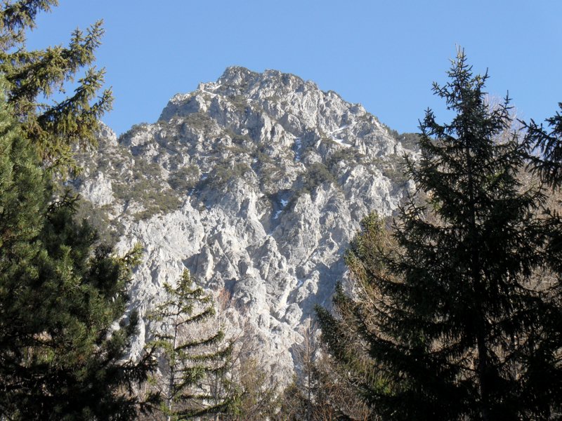 SAM_0380.JPG