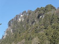 SAM_0339.JPG
