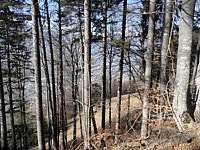 SAM_0341.JPG