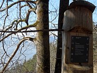 SAM_0344.JPG