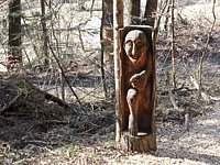 SAM_0345.JPG
