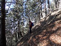 SAM_0349.JPG