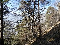 SAM_0351.JPG