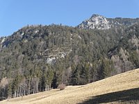 SAM_0354.JPG