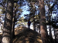 SAM_0359.JPG