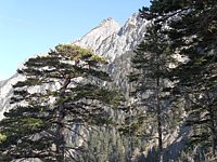 SAM_0365.JPG