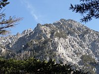 SAM_0367.JPG