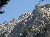 SAM_0369.JPG