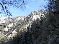 SAM_0374.JPG