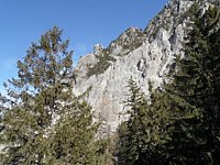 SAM_0396.JPG