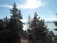 SAM_0397.JPG