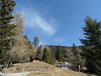 SAM_0401.JPG