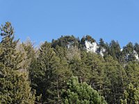 SAM_0404.JPG