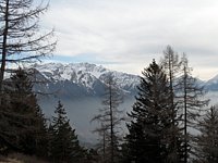 SAM_0406.JPG