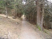 SAM_0407.JPG