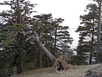 SAM_0408.JPG