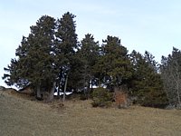 SAM_0414.JPG