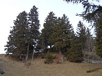 SAM_0416.JPG