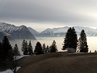 SAM_0417.JPG