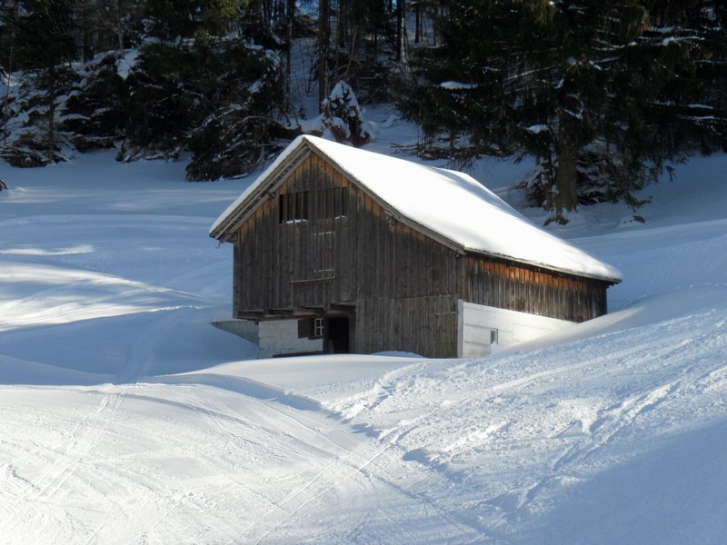 schlitteln20120218 (08).JPG