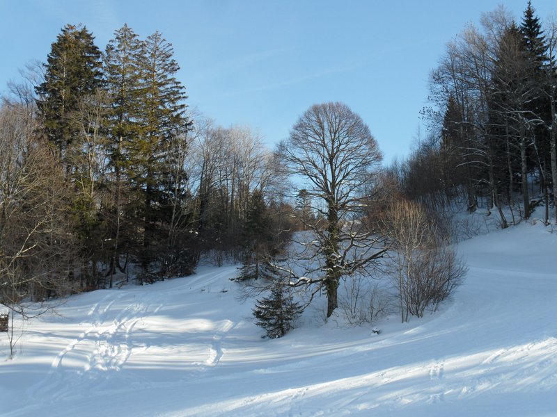 schlitteln20120218 (10).JPG