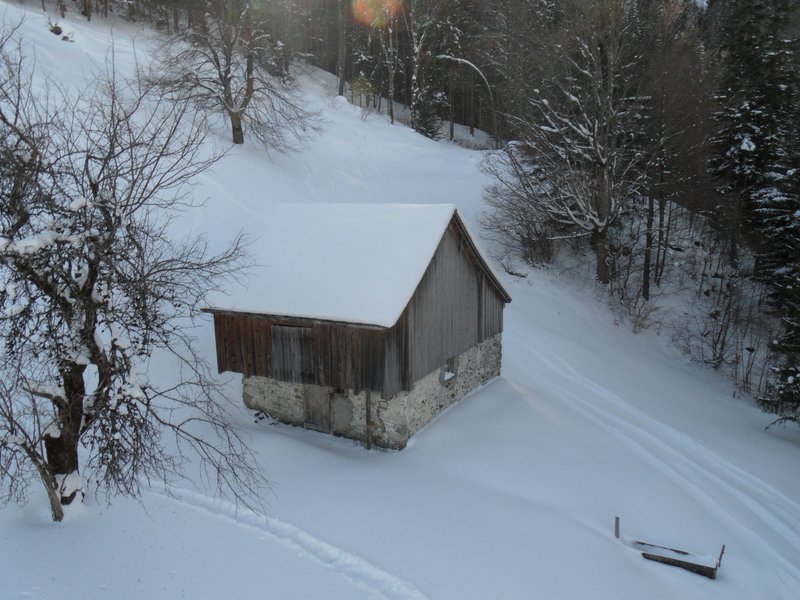 schlitteln20120218 (11).JPG