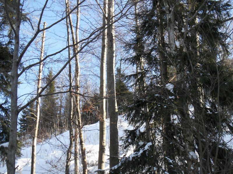 schlitteln20120218 (14).JPG