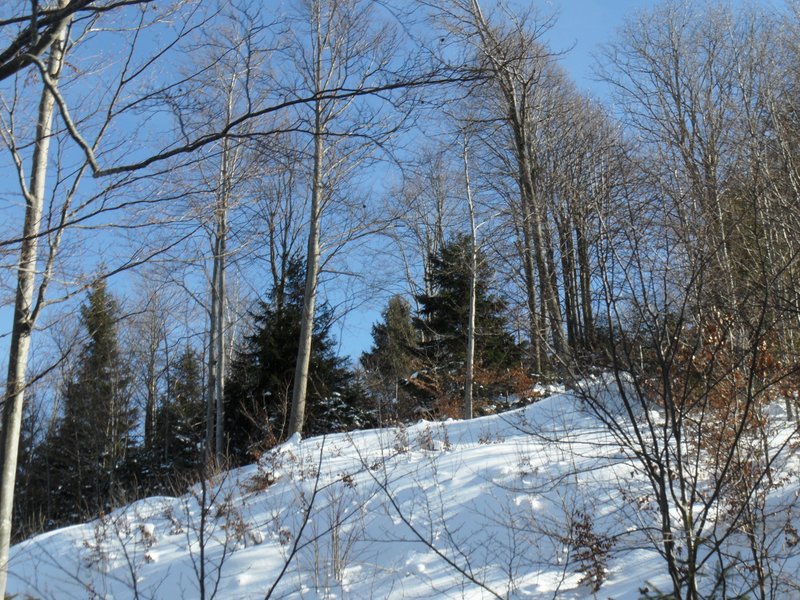 schlitteln20120218 (15).JPG