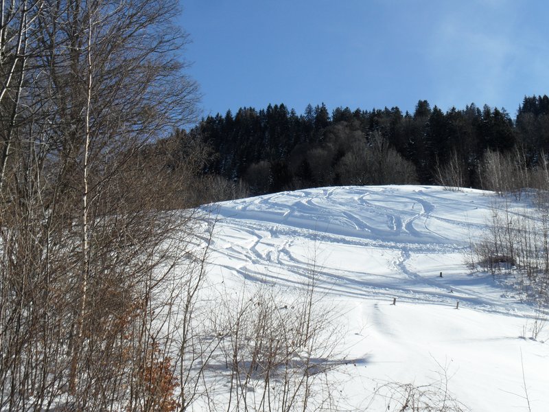 schlitteln20120218 (16).JPG