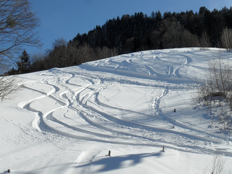 schlitteln20120218 (17).JPG