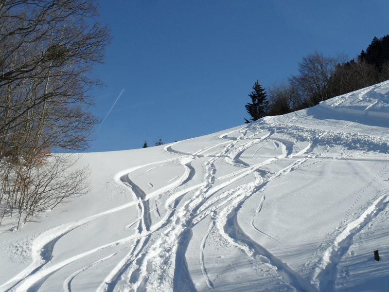 schlitteln20120218 (18).JPG