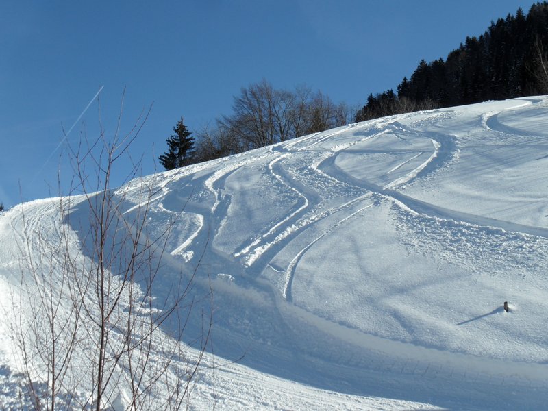 schlitteln20120218 (19).JPG