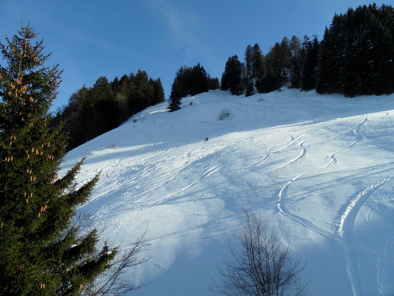 schlitteln20120218 (24).JPG