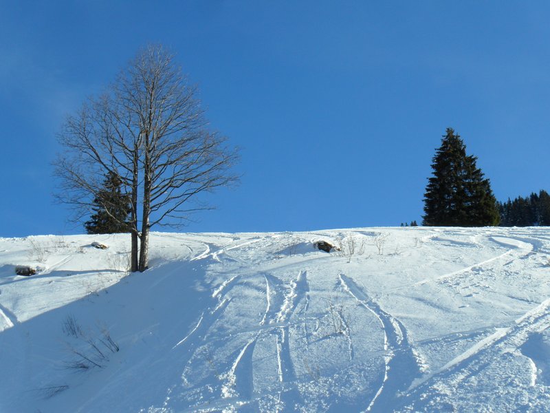 schlitteln20120218 (26).JPG
