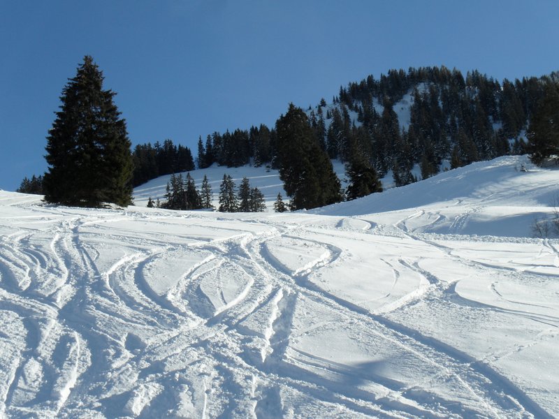 schlitteln20120218 (27).JPG