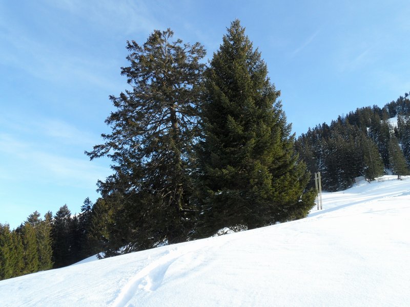 schlitteln20120218 (38).JPG